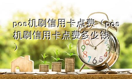 pos机刷信用卡点费（pos机刷信用卡点费多少钱）