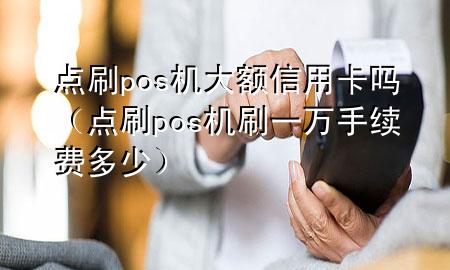 点刷pos机大额信用卡吗（点刷pos机刷一万手续费多少）