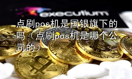 点刷pos机是国银旗下的吗（点刷pos机是哪个公司的）