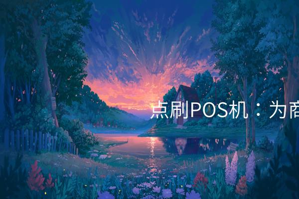 点刷POS机：为商家提供安全、便捷的支付方式